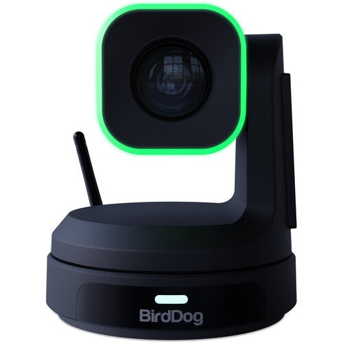 PTZ Cameras